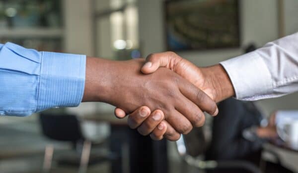 Organisation & Business Support